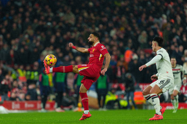 突或许也将 突或许也将